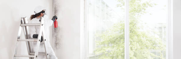 Best Residential Mold Inspection & Testing  in Wayne, MI