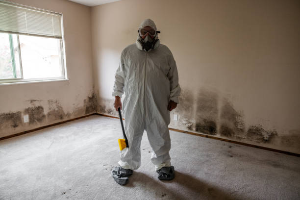 Best Crawl Space Mold Remediation  in Wayne, MI
